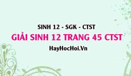 Giải Sinh 12 trang 45 Chân trời sáng tạo SGK